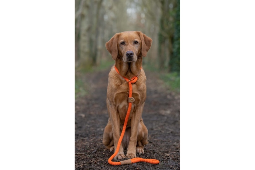 ruff-and-tumble-slim-slip-lead-tangerine-3.jpg