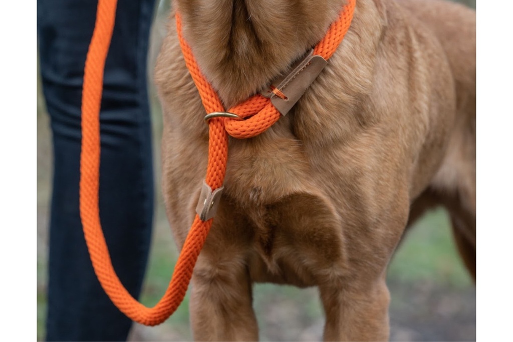 ruff-and-tumble-slim-slip-lead-tangerine-2.jpg