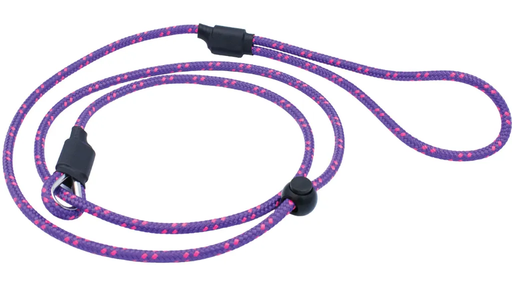 Bisley Field Trial Advanced Lead Purple.webp
