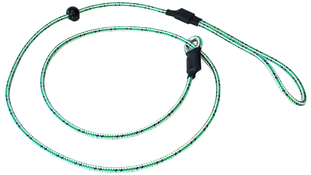 Bisley Field Trial Advanced Lead Emerald Green.webp
