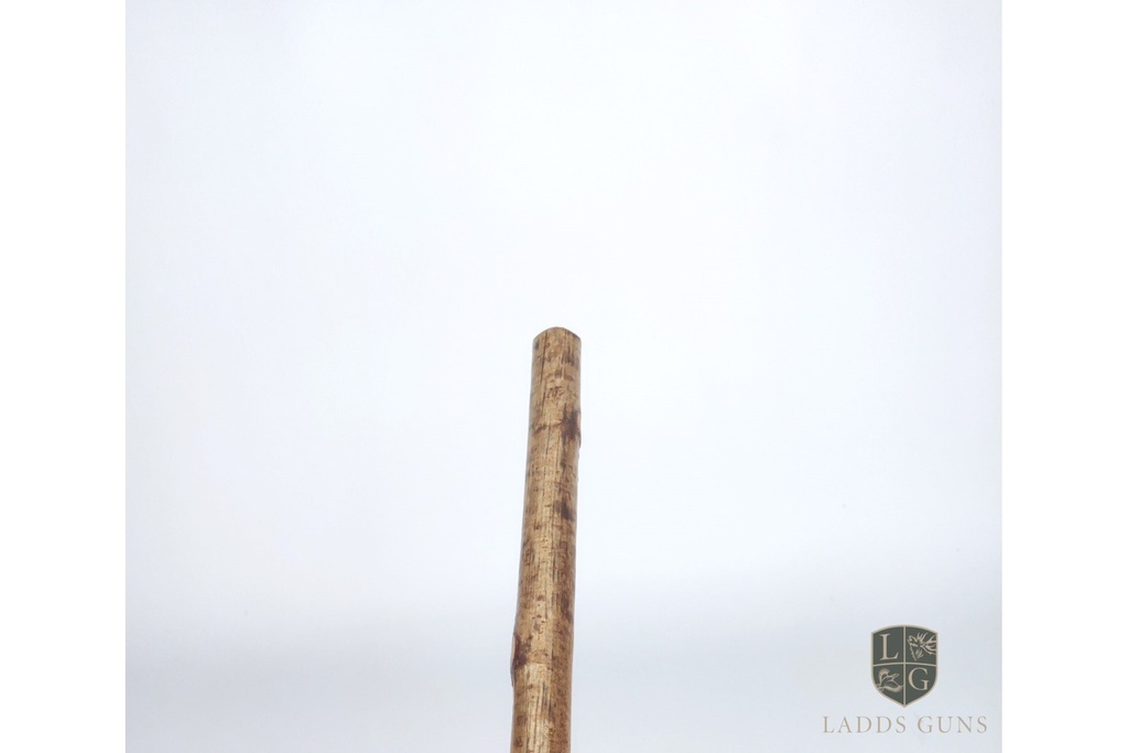 cocker-spaniel-walking-stick-4.jpg