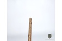 cocker-spaniel-walking-stick-4.jpg