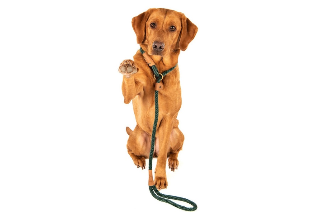 ruff-and-tumble-slim-slip-lead---bottle-green-2.jpg