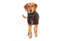 ruff-and-tumble-country-dog-drying-coat---mud.jpg
