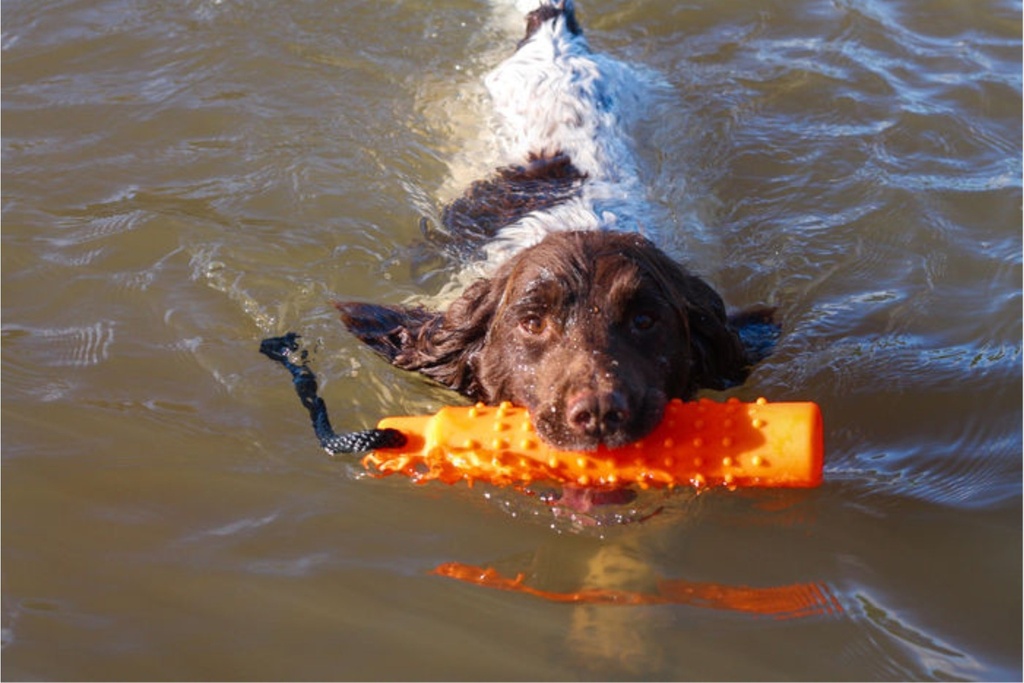 water-dummy-(4).jpg
