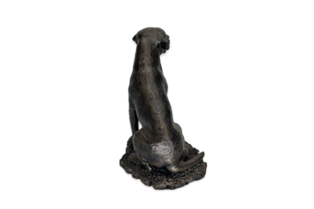 patina-bronze-sculpture-labrador-sitting-4.jpg
