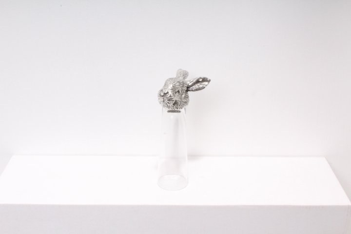 4975_201511031311350_0.JPG