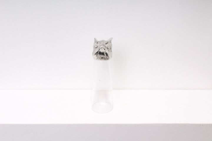 4976_201511031315300_0.JPG