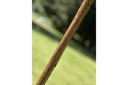 ian-james-woodcock-stick-3.jpg