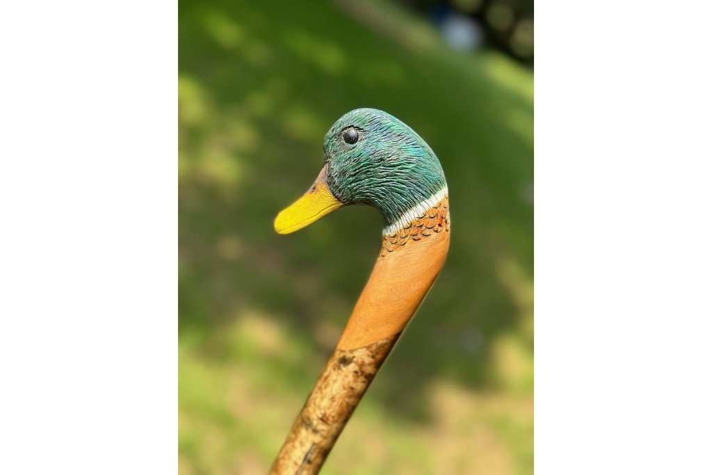 ian-james-mallard-drake-stick-2.jpg