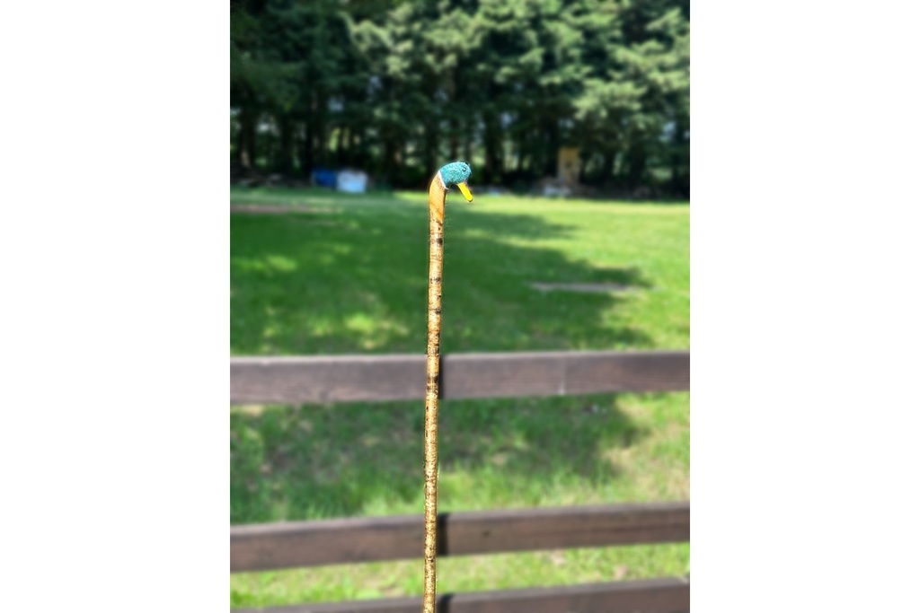 ian-james-mallard-drake-stick-4.jpg