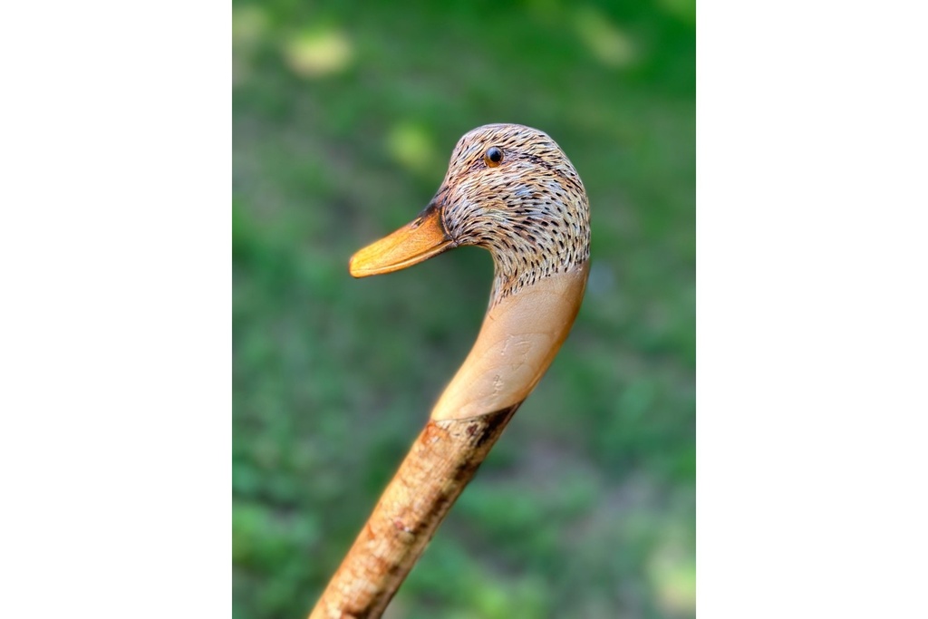 ian-james-mallard-hen-stick-2.jpg