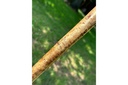 ian-james-cock-pheasant-stick-5.jpg