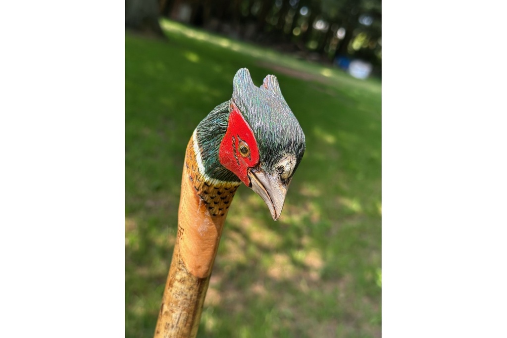 ian-james-cock-pheasant-stick-3.jpg