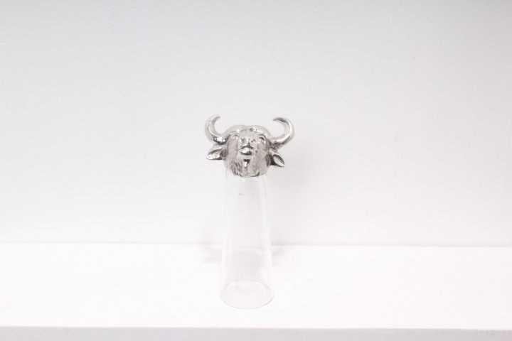 4979_201511031332440_0.JPG