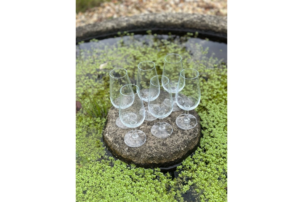 rey-pavon-port-sherry-glasses-set-of-6-2.jpg