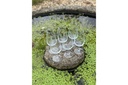 rey-pavon-port-sherry-glasses-set-of-6-2.jpg