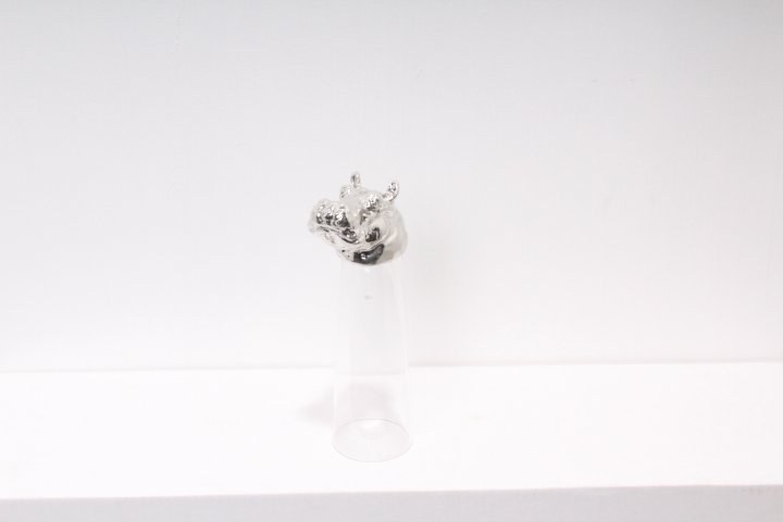 4981_201511031337340_0.JPG
