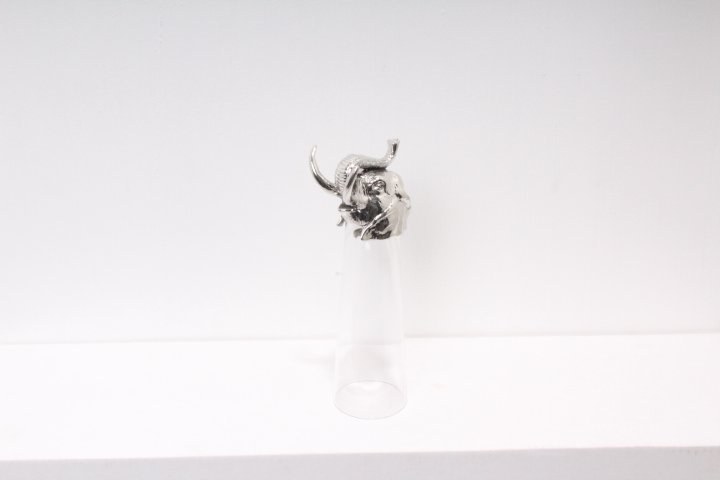 4983_201511031342480_0.JPG
