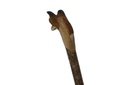 ian-james-fox-stick-4.jpg