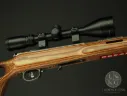Savage Model 93R17