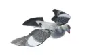 A1 Decoys Floating Pigeon with Spring Wings Decoy