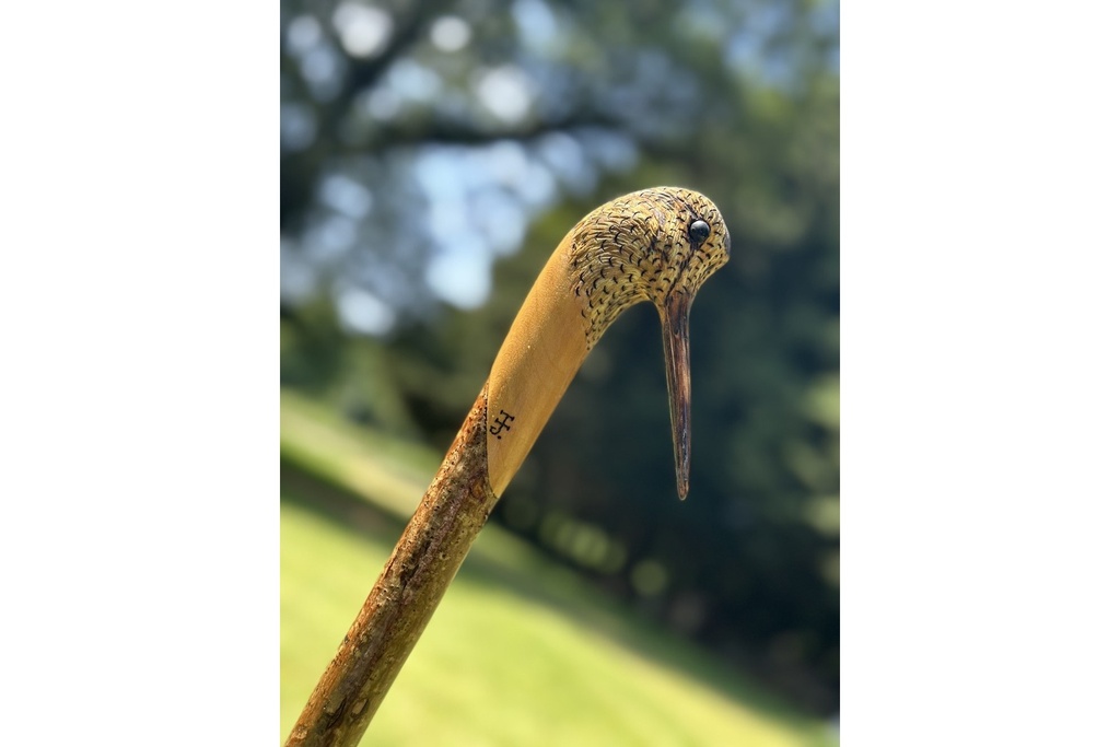 Ian James Woodcock Stick