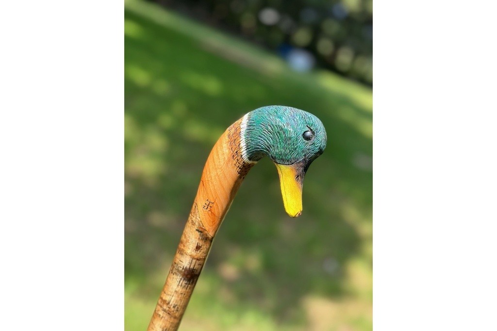 Ian James Mallard Drake Stick