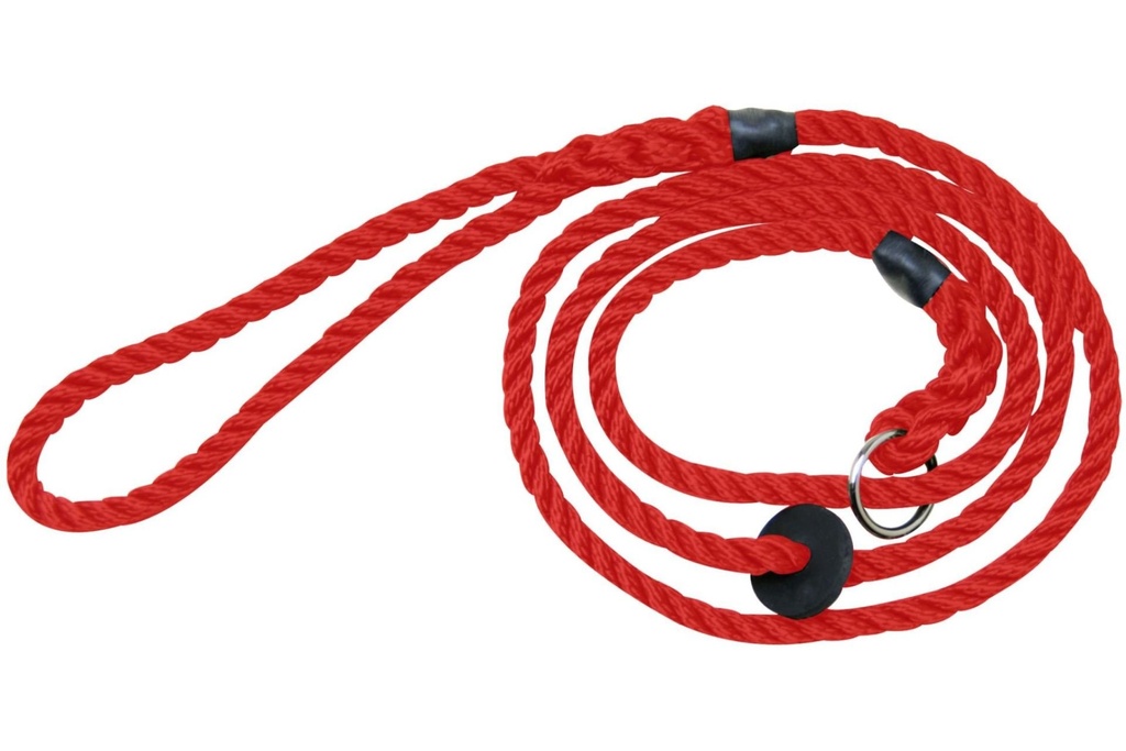 Bisley Deluxe Dog Lead - Red