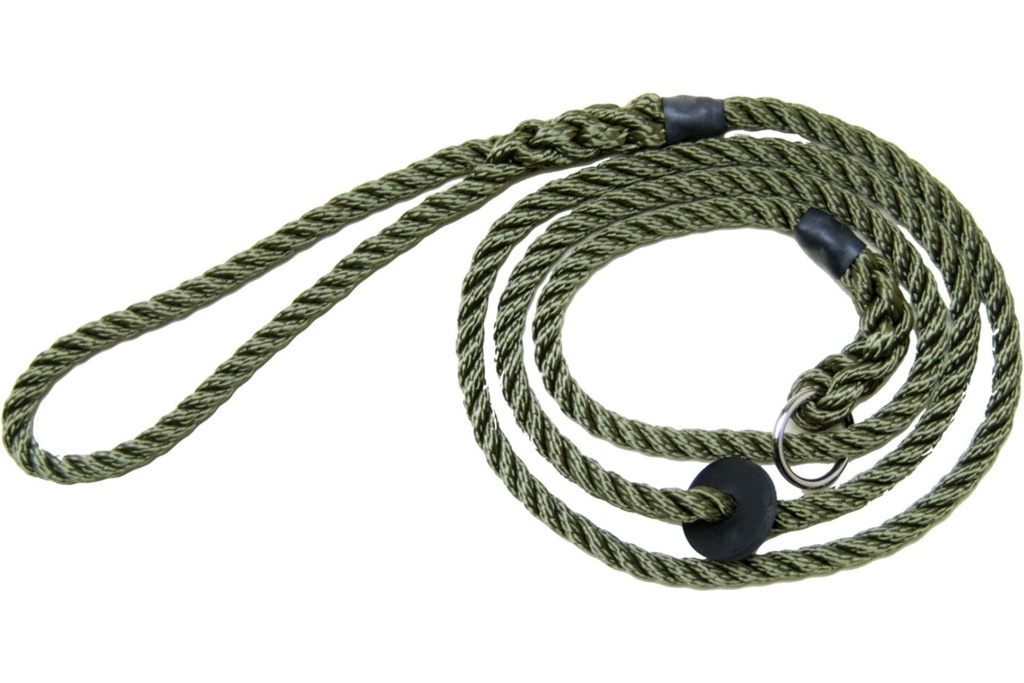 Bisley Deluxe Dog Lead - Green