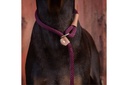 Ruff and Tumble Slim Slip Lead - Burgundy