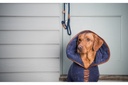 Ruff and Tumble Country Dog Drying Coat With Faux Leather Trim - French Navy Extra Large