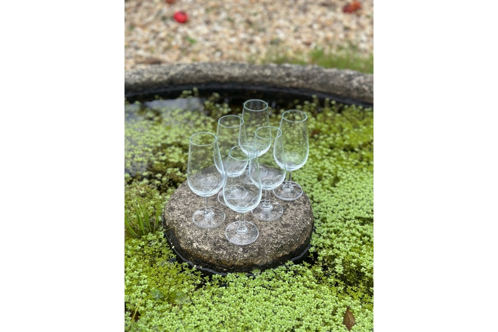 Rey Pavon Port/Sherry Glasses - Set Of 6