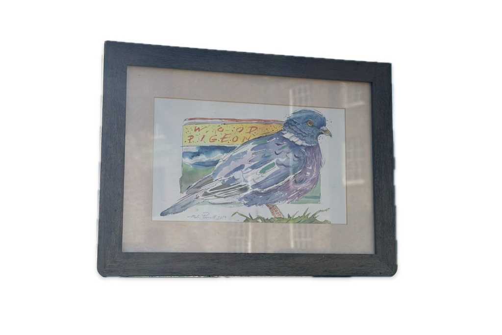 Miles Parnell Wood Pigeon