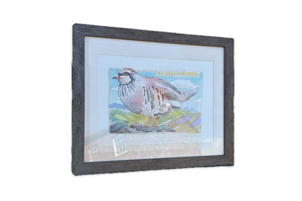 Miles Parnell Red-Legged Partridge