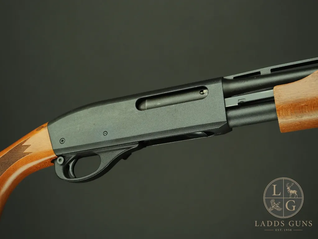 Remington 870 Express .410
